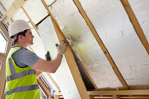 Best Insulation Installation Services in Trenton, OH